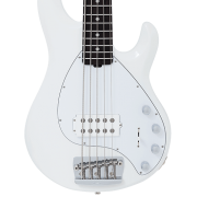 David Enrique Pagola Apolinario