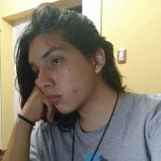 Luis Gaston Mansilla Avila