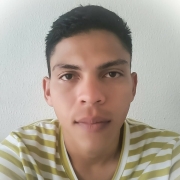 Luis Jesús Troconis Briceño