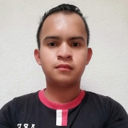 Luis chong del angel