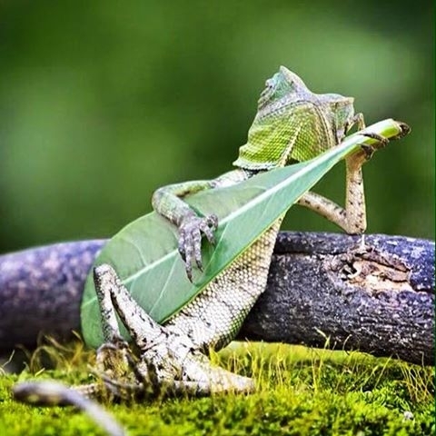 11043094_10152707393884856_1060958562271705321_n