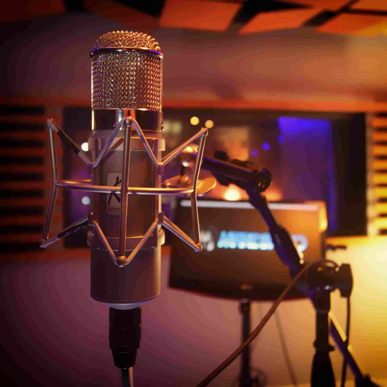microfonia_microphone_recording_studio_estudio_grabacion