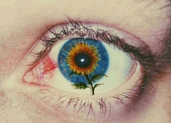 ojo flor