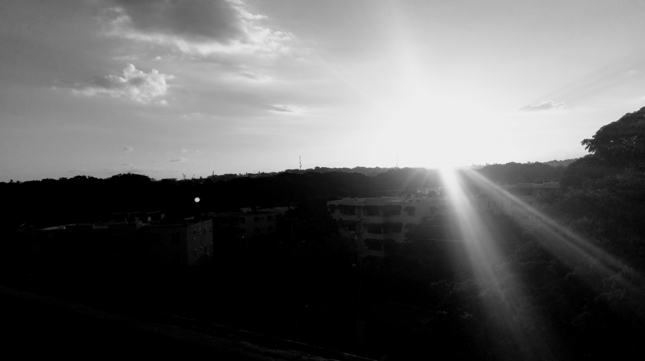 IMAG0821_2