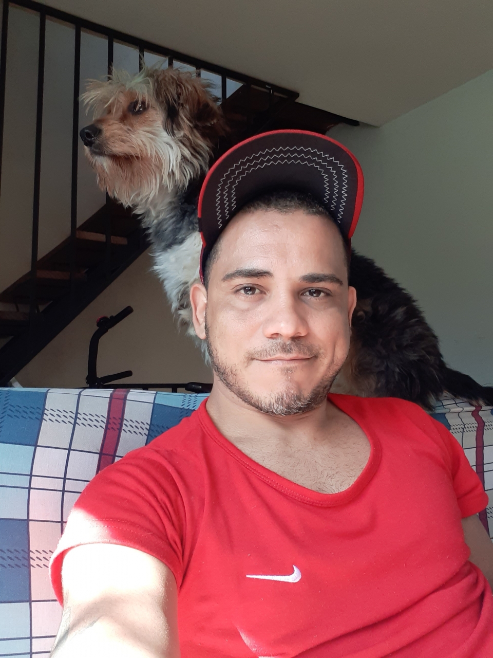 Sin título 26-08-2019 - Mi mejor amigo  Milo 
