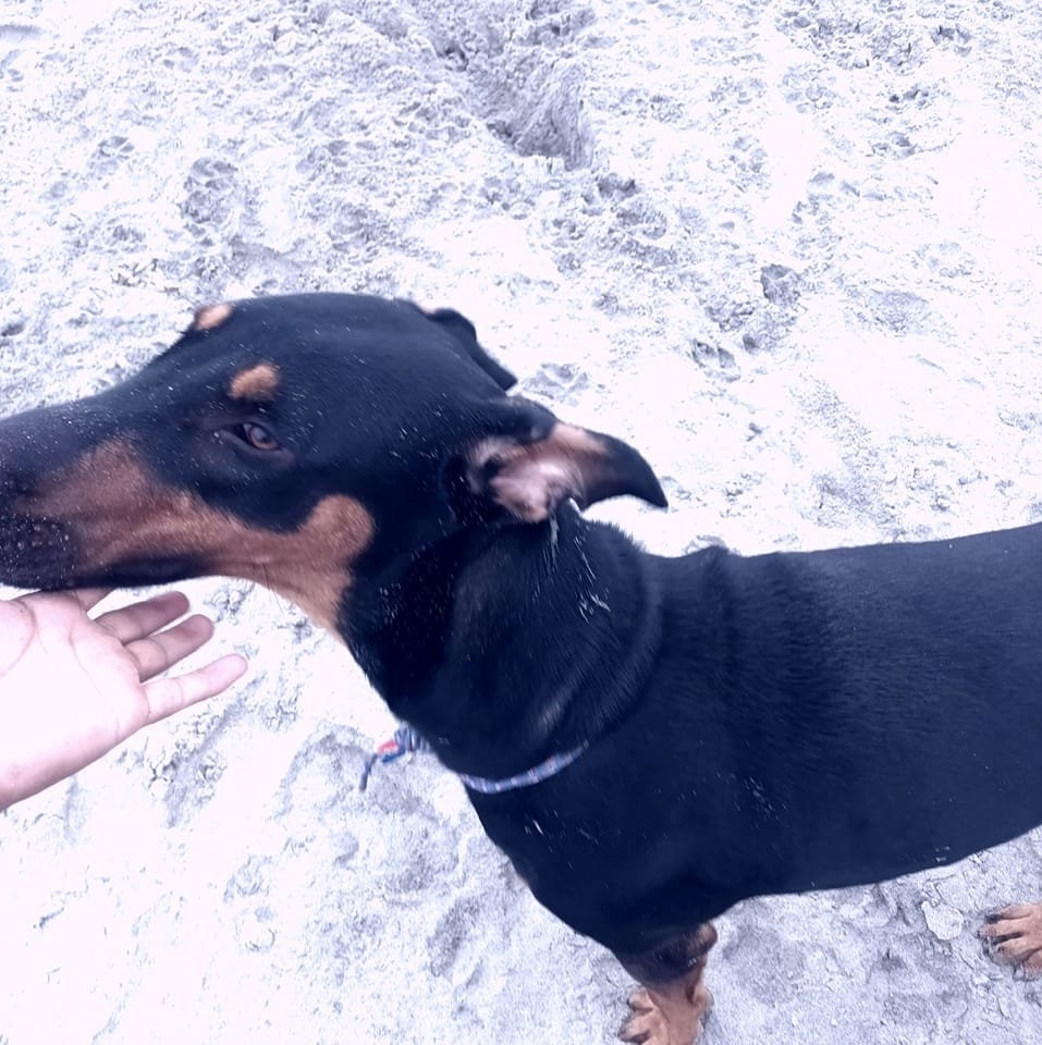 334665347_1614485132401774_1743116444240181800_n