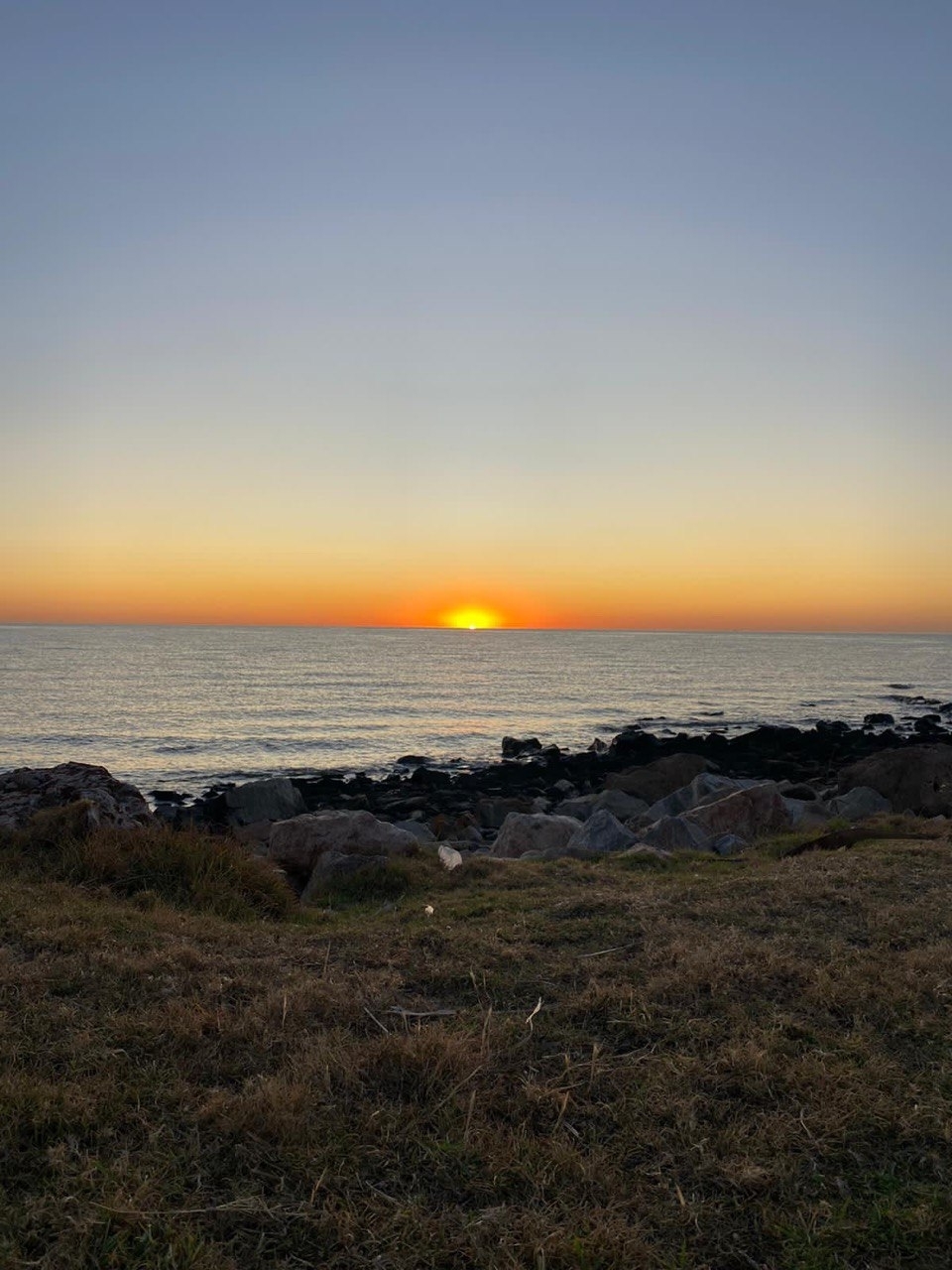 photo_2023-03-28_18-45-17