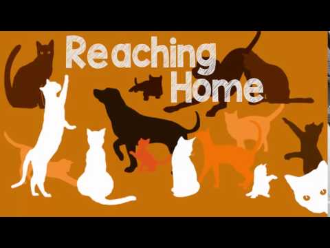 Reaching Home: Opening sequence